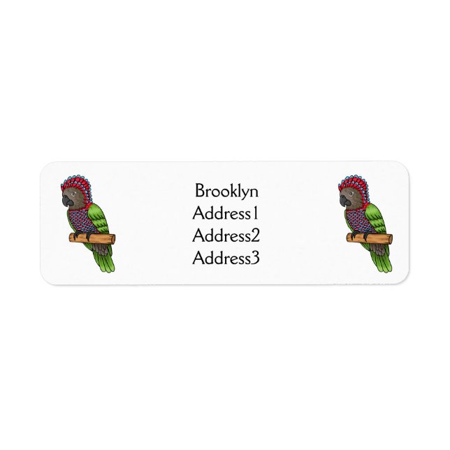 Hawk headed parrot bird cartoon illustration (Front)