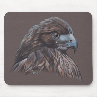 Hawk in Coloured Pencil Mouse Pad