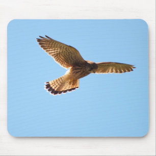 Hawk in flight mouse pad
