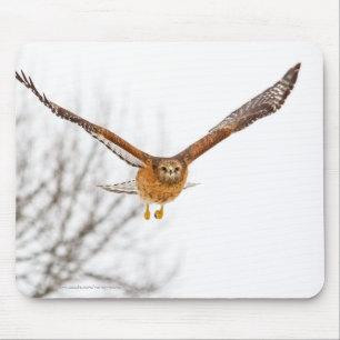 Hawk In Flight Mouse Pad