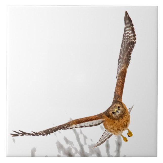 Hawk In Flight Tile (Front)