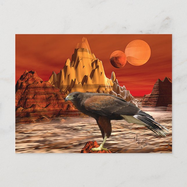 Hawk in Red Mountains Postcard (Front)