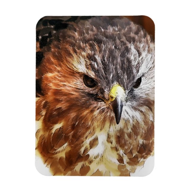 HAWK MAGNET (Vertical)