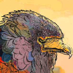 HAWK MOUSE PAD