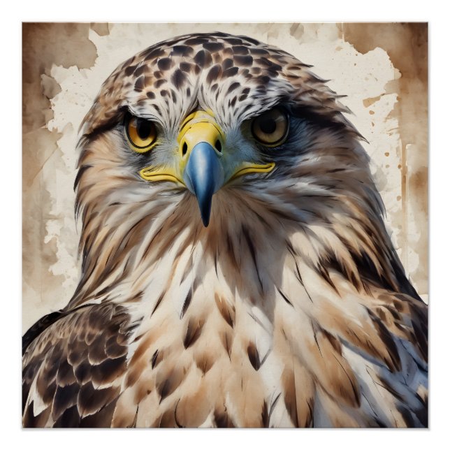 Hawk no 3 Glossy Poster (Front)