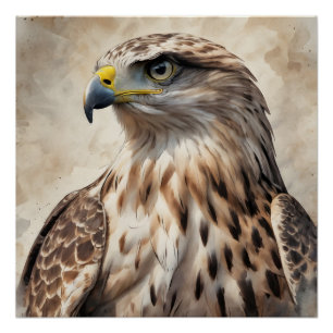 Hawk no 6 Glossy Poster