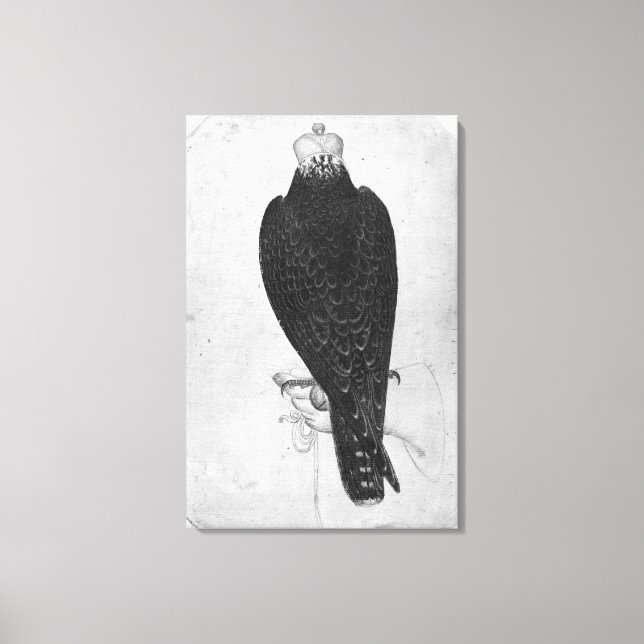 Hawk on hand canvas print (Front)