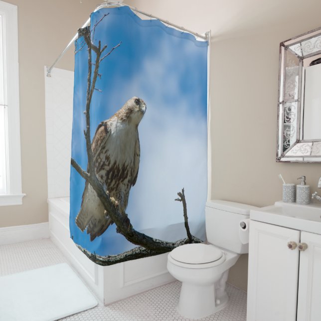 Hawk On The Hunt Shower Curtain (In Situ)