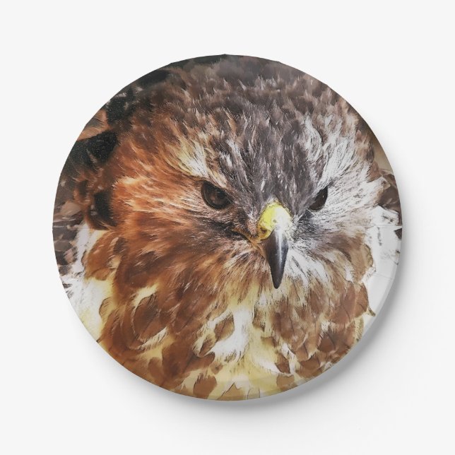 HAWK PAPER PLATE (Front)