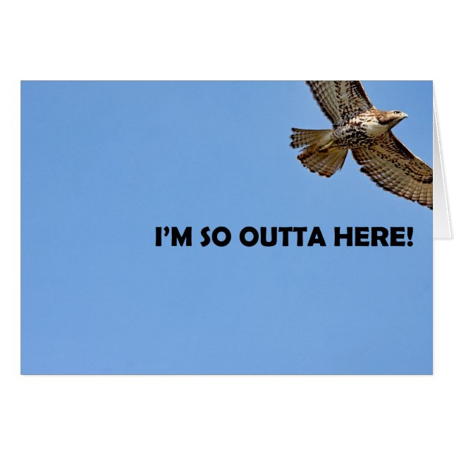 Hawk Photo (Front Horizontal)