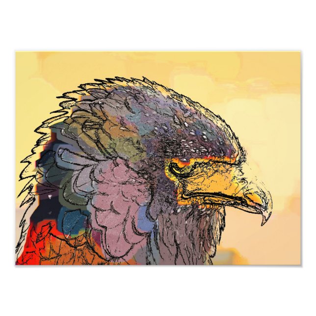 HAWK PHOTO PRINT (Front)