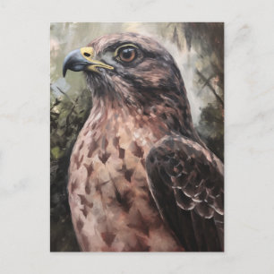 Hawk Postcard