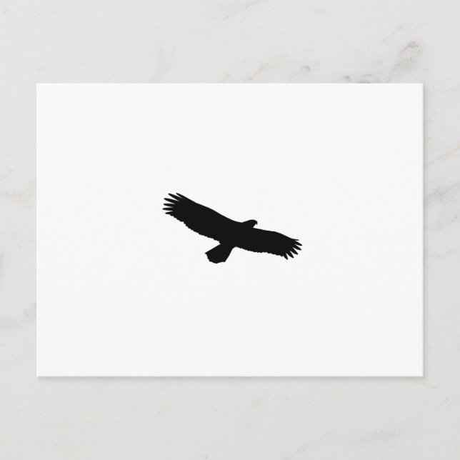 Hawk Silhouette Postcard (Front)
