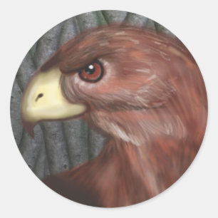 Hawk Sticker
