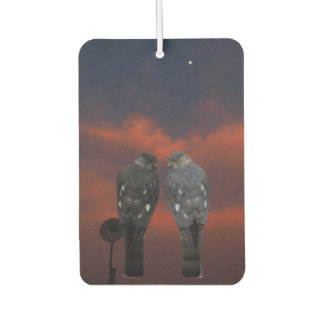 Hawk Storm Car Air Freshener