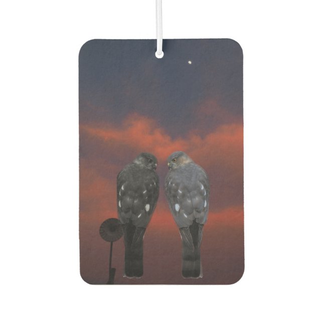 Hawk Storm Car Air Freshener (Front)