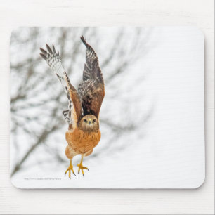 Hawk Taking Flight Mouse Pad