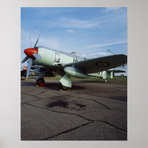 Hawker Sea Fury at CAF, Minnesota Wing, at the 2 Poster