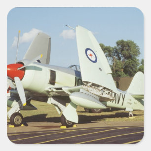 Hawker Sea Fury at CAF, Minnesota Wing, at the Square Sticker