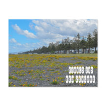 Hawkes Bay in New Zealand