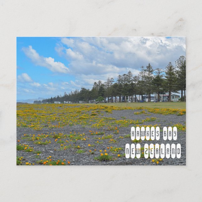 Hawkes Bay in New Zealand Postcard (Front)