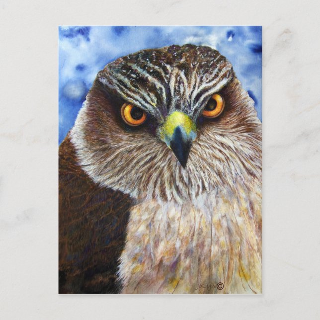 Hawkeyes Postcard (Front)