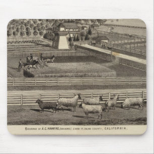 Hawkins, Mayes residences Mouse Pad