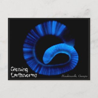 Hawkinsville Georgia US Postcard