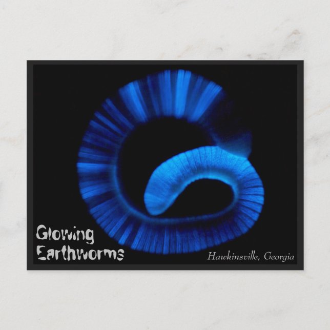 Hawkinsville Georgia US Postcard (Front)