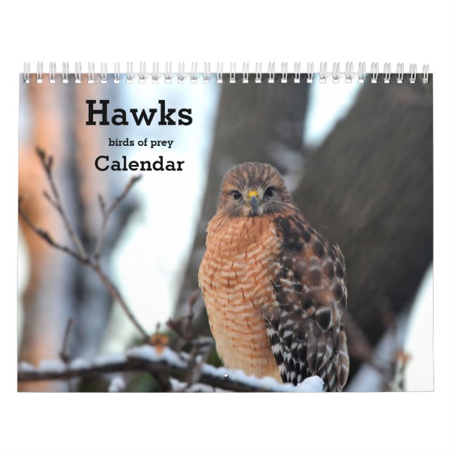 Hawks birds of prey Calendar (Cover)