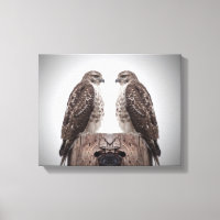 Hawks on a post