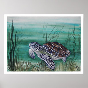 Hawksbill Sea Turtle Poster