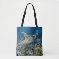 Hawksbill Sea Turtle Swimming