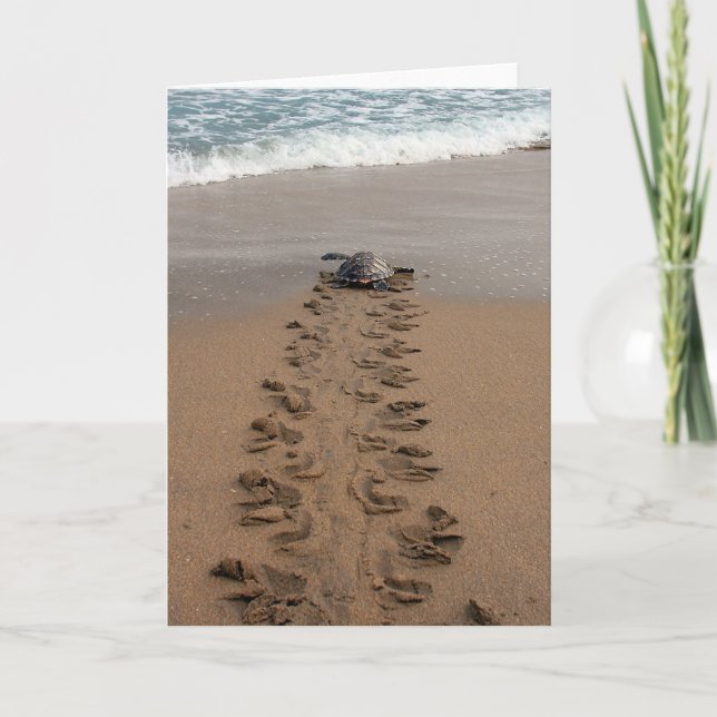 Hawksbill Turtle Trek note card (Front)