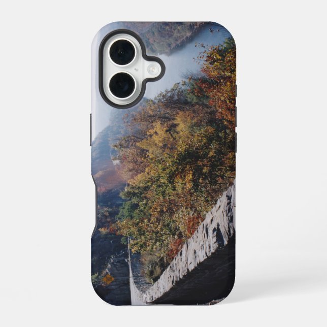 Hawksnest iPhone 16 Case (Back)