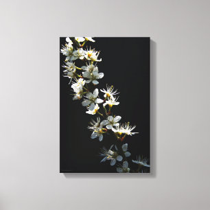 Hawthorn Flowers 11x16.5 (27.5x41.25cm) waccna Canvas Print