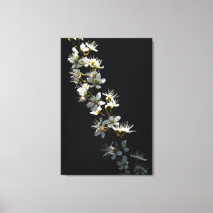 Hawthorn Flowers 24x36 (60x90cm) waccna Canvas Print