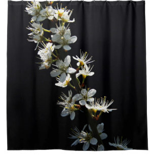 Hawthorn Flowers sccn Shower Curtain