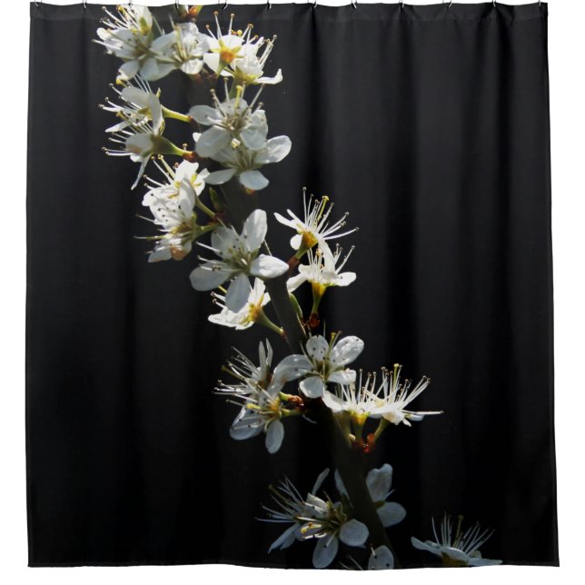 Hawthorn Flowers sccna Shower Curtain (Front)