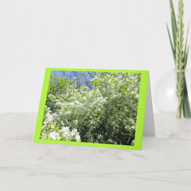 Hawthorn Tree in Flower Blank Note Card (Front)