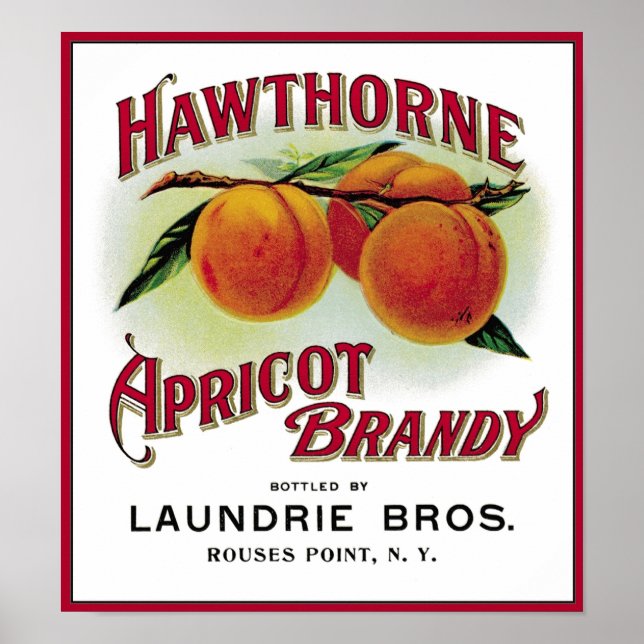 Hawthorne Apricot Brandy Poster (Front)