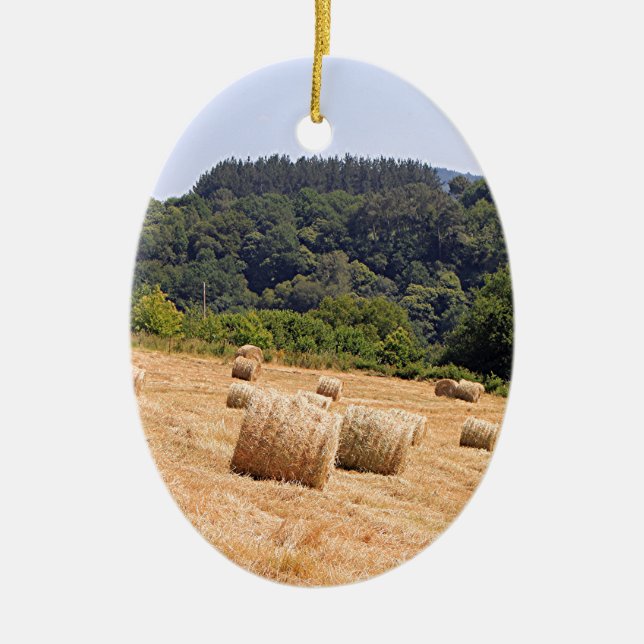 Hay bales along El Camino, Spain Ceramic Tree Decoration (Front)