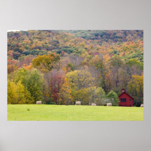 Hay bales and fall foliage, on a farm in poster