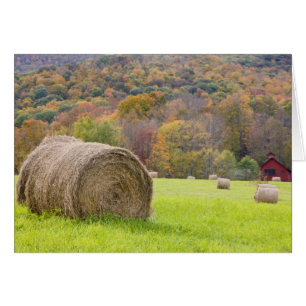 Hay bales and fall foliage on farm,