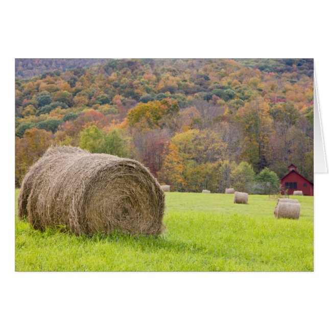 Hay bales and fall foliage on farm, (Front Horizontal)