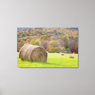 Hay bales and fall foliage on farm, canvas print