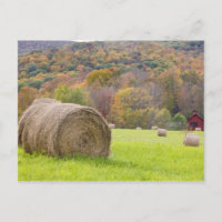 Hay bales and fall foliage on farm,