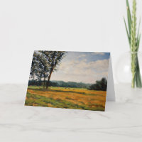 Hay Bales at the Farm