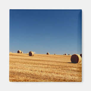 Hay Bales Magnet