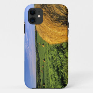 Hay Bales near Bottineau North Dakota Case-Mate iPhone Case